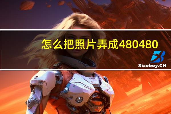 怎么把照片弄成480480