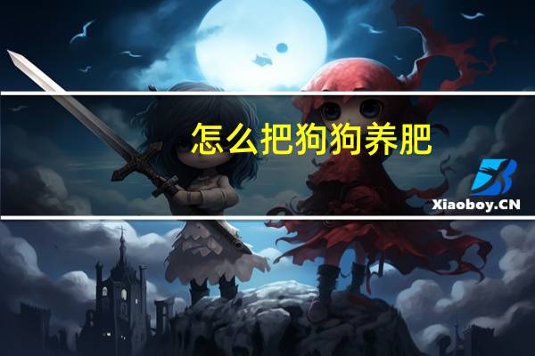 怎么把狗狗养肥