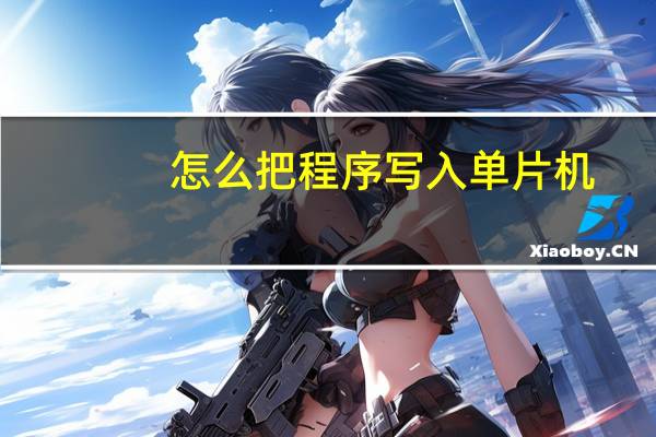 怎么把程序写入单片机