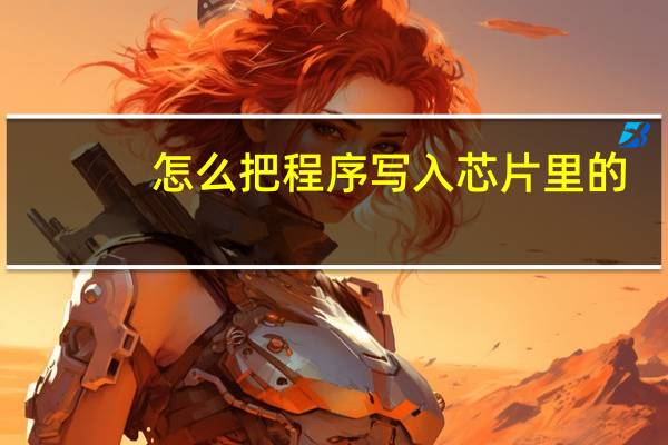 怎么把程序写入芯片里的