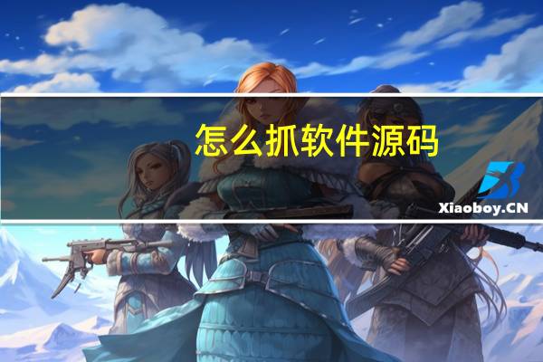怎么抓软件源码