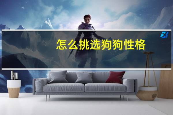 怎么挑选狗狗性格