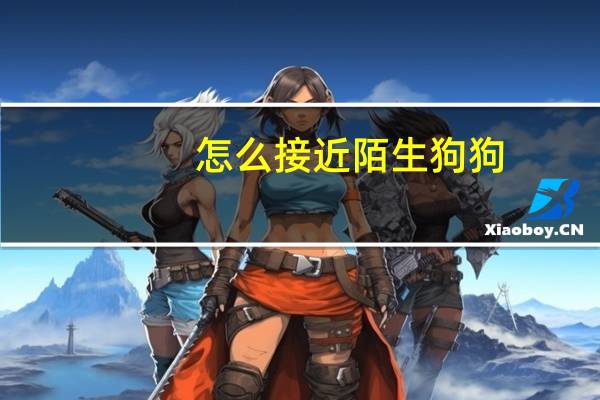 怎么接近陌生狗狗