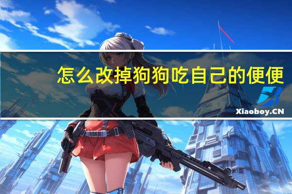 怎么改掉狗狗吃自己的便便