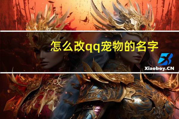 怎么改qq宠物的名字