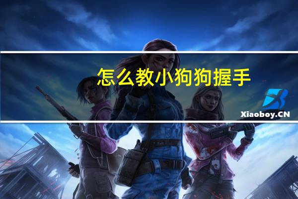 怎么教小狗狗握手