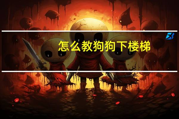怎么教狗狗下楼梯
