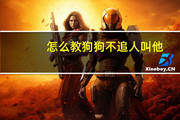怎么教狗狗不追人叫他