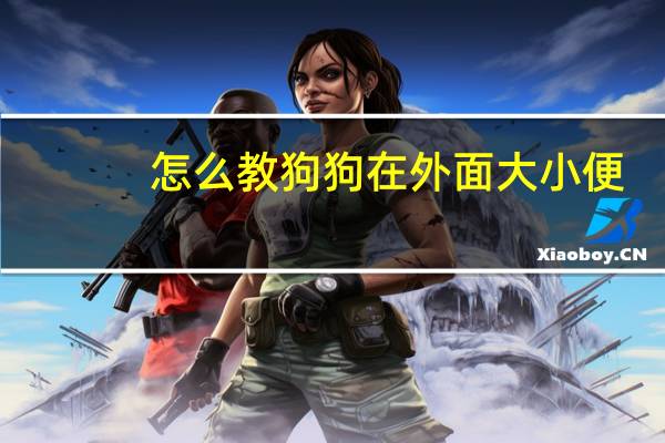 怎么教狗狗在外面大小便