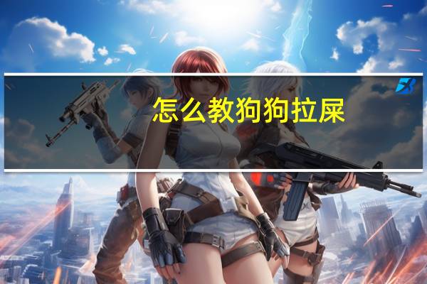 怎么教狗狗拉屎
