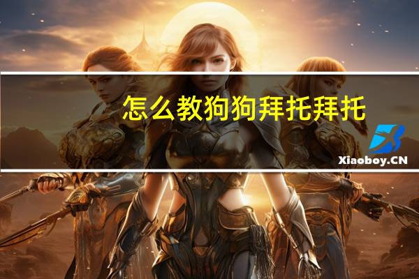 怎么教狗狗拜托拜托