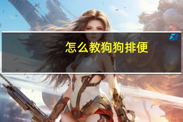怎么教狗狗排便