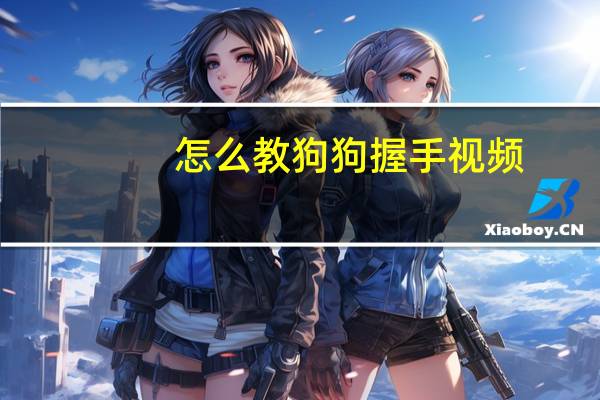 怎么教狗狗握手视频