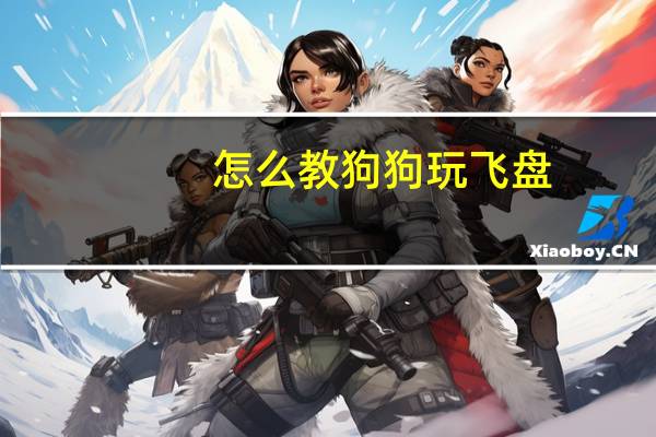 怎么教狗狗玩飞盘
