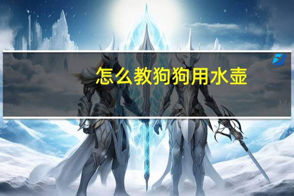 怎么教狗狗用水壶