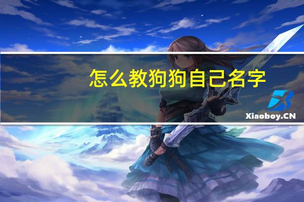 怎么教狗狗自己名字