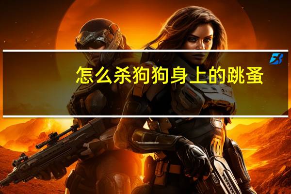 怎么杀狗狗身上的跳蚤