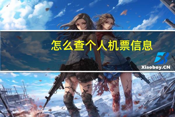 怎么查个人机票信息
