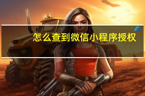 怎么查到微信小程序授权