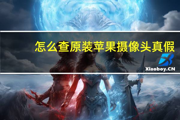怎么查原装苹果摄像头真假
