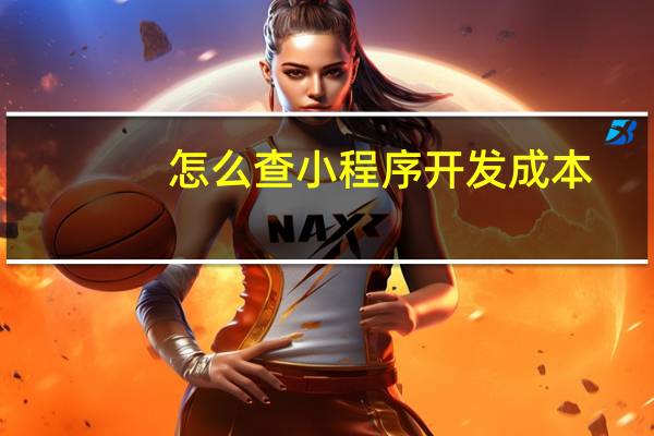 怎么查小程序开发成本