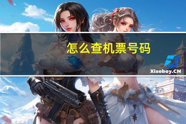 怎么查机票号码