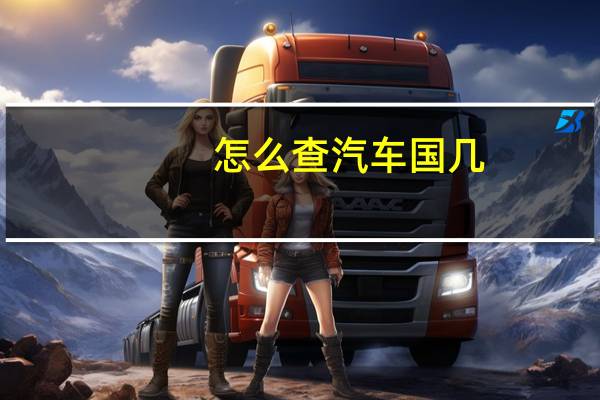 怎么查汽车国几