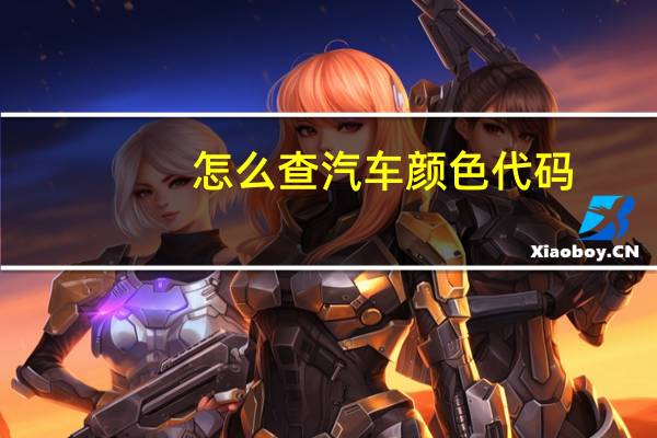 怎么查汽车颜色代码