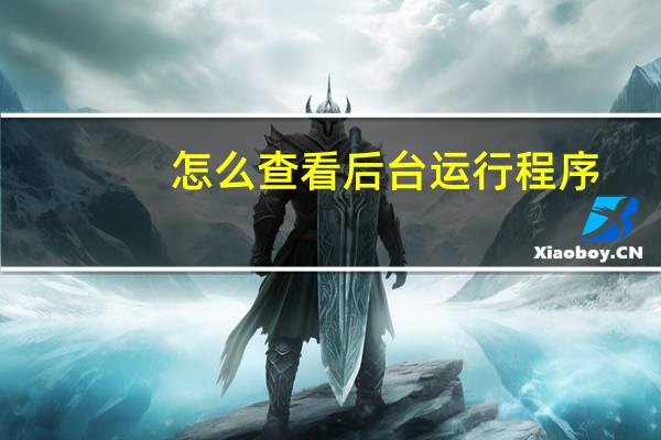 怎么查看后台运行程序