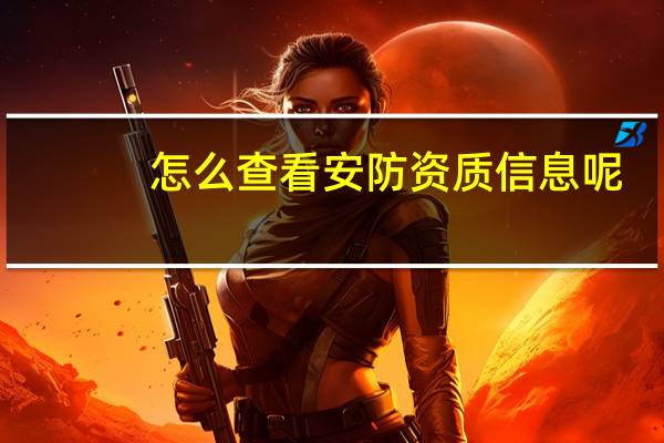 怎么查看安防资质信息呢