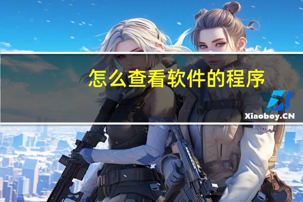 怎么查看软件的程序