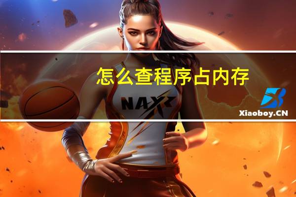 怎么查程序占内存