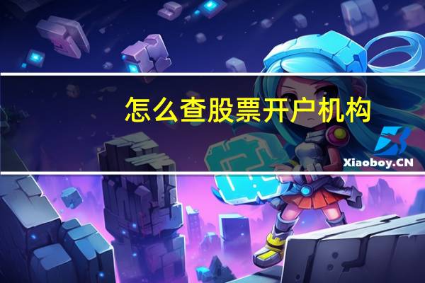 怎么查股票开户机构