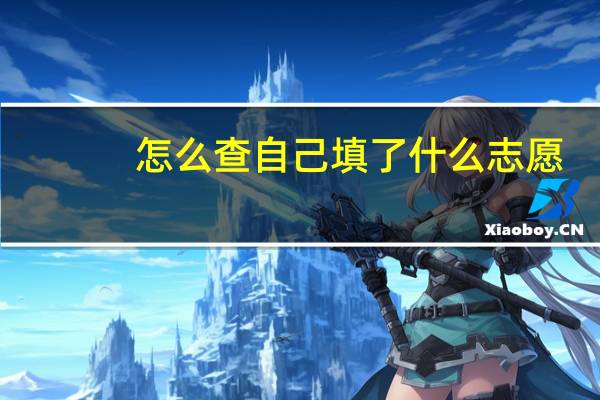 怎么查自己填了什么志愿