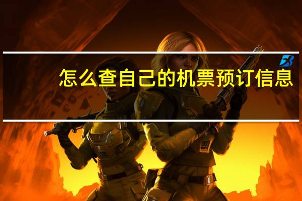 怎么查自己的机票预订信息