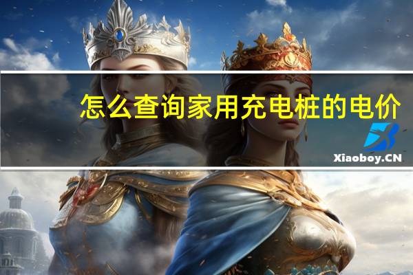 怎么查询家用充电桩的电价