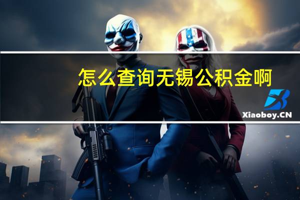 怎么查询无锡公积金啊