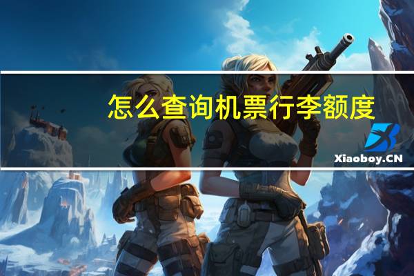 怎么查询机票行李额度