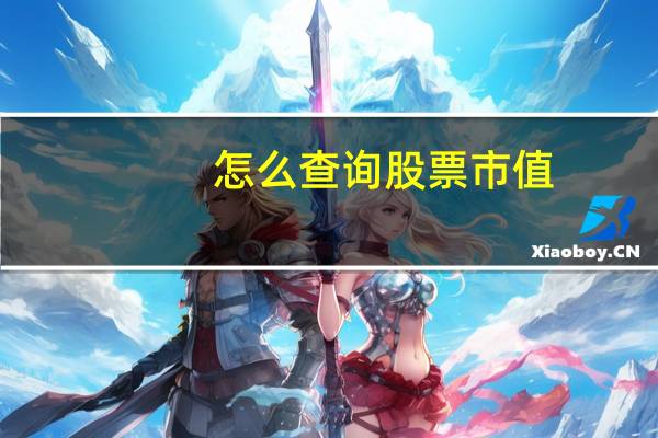 怎么查询股票市值