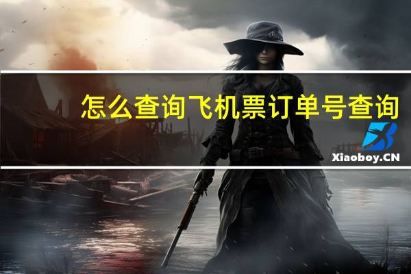 怎么查询飞机票订单号查询