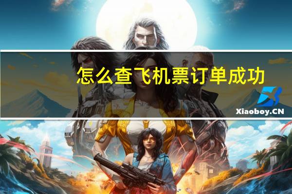 怎么查飞机票订单成功