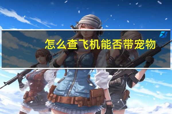 怎么查飞机能否带宠物