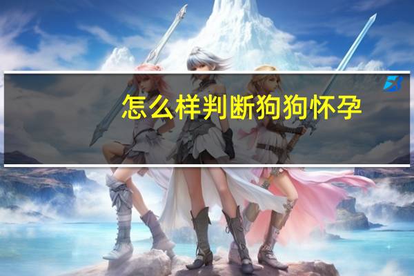 怎么样判断狗狗怀孕