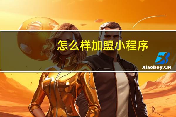 怎么样加盟小程序