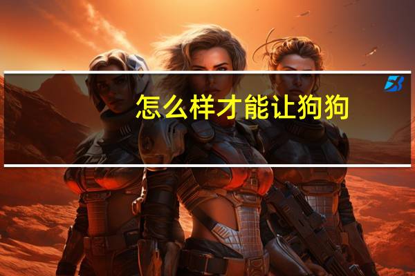 怎么样才能让狗狗