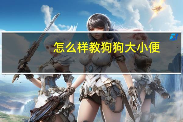怎么样教狗狗大小便