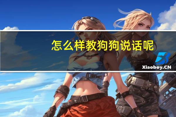 怎么样教狗狗说话呢