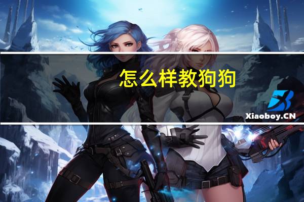 怎么样教狗狗