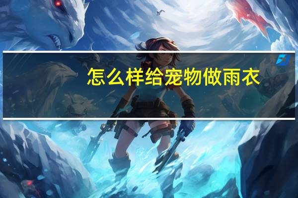 怎么样给宠物做雨衣