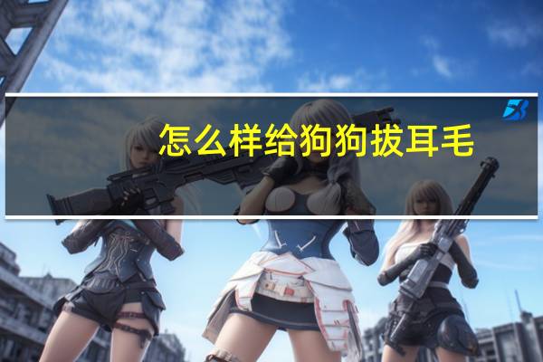 怎么样给狗狗拔耳毛